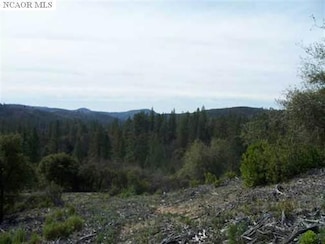 24271 Hoyt Crossing Rd, North San Juan, CA 95960