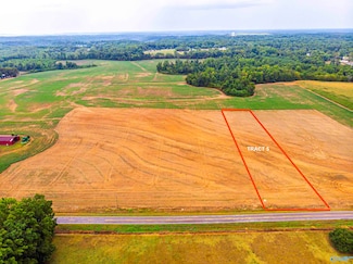5 Salem Minor Hill Rd, Lester, AL 35647