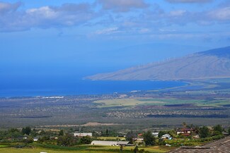 20 Leihulu Way, Kula, HI 96790