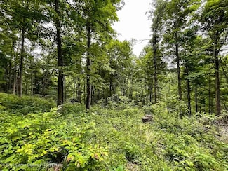 0 N Starr Rd, Campbellsburg, IN 47108