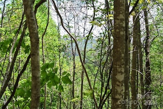 0 Pond Rd, Spruce Pine, NC 28777