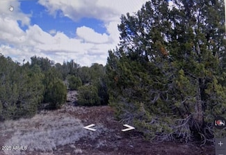 8426 Silver Creek Dr Unit 1, Show Low, AZ 85901
