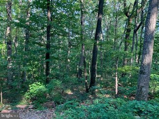 Lot 15 Red Fox Trail, Back Creek, VA 22602