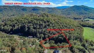 2409 Perilla Rd, Cosby, TN 37722