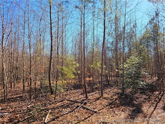 Lot 5 Dragonfly Ln, Sanford, NC 27332