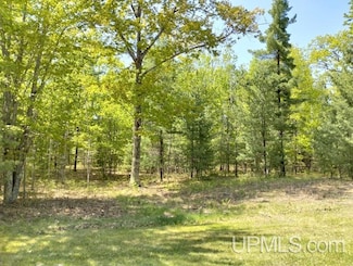 10441 Breezy R 22 Ln, Rapid River, MI 49878