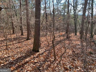 0 Quail Way Unit LOT 533, Jasper, GA 30143