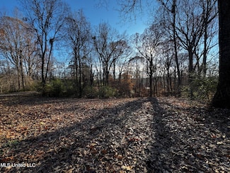 0 Lake View Dr, Hernando, MS 38632