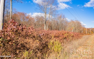 PARCEL 030 Glory Ridge Rd, Fox Township, PA 17768
