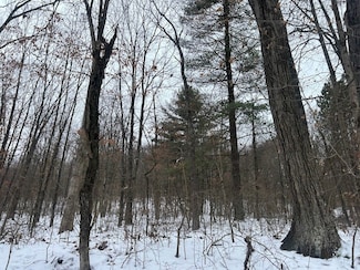 0 Red Lane Rd Unit LotWP001 22518003, Cumberland, OH 43732