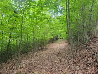 Lot 25 Double Knob Dr, Hayesville, NC 28904