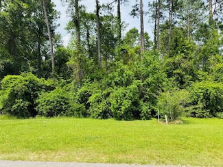 Lot 83 Spring Oak Dr, Carriere, MS 39426