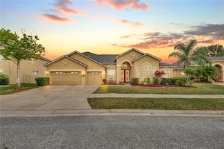 20330 Natures Corner Dr, Tampa, FL 33647