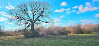 tbd Davis Rd, Huntsville, TX 77320