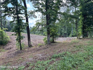 0 Wooldridge Ferry Rd Unit 1692536, Elizabethtown, KY 42701