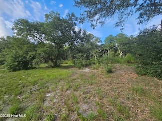 162 Holden Ct, Holly Ridge, NC 28445