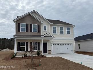4326 Parsons Mill Dr Unit Lot 252, Castle Hayne, NC 28429