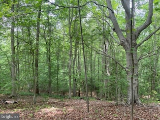 7575 Mason Springs Rd, La Plata, MD 20646