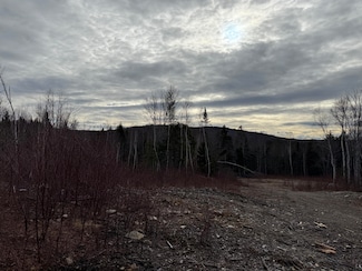 13E Moores Rd, Springfield, ME 04487