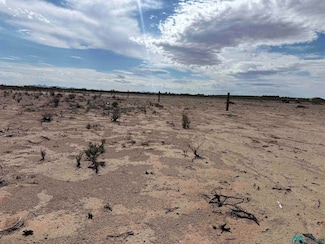 XXXX SE Lagremas Rd, Deming, NM 88030