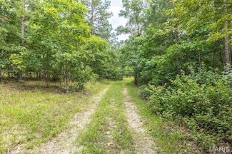 South of Highway 60, Poplar Bluff, MO 63901