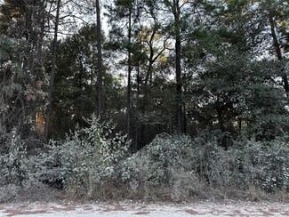 Lot 1 Live Oak Dr, Hempstead, TX 77363