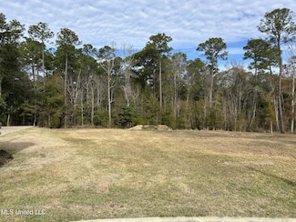 0 Caymus Cove, Ocean Springs, MS 39564