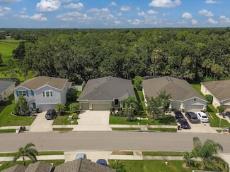 15309 Trinity Fall Way, Bradenton, FL 34212