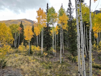 10 Alpine Vista Way, Lake City, CO 81235