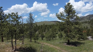 6635 Antler Way, Helena, MT 59602