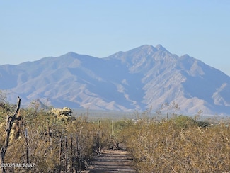 7081 E Cactus Patch Way, Sahuarita, AZ 85629