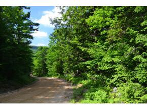 110 Tioga Rd, Hill, NH 03243