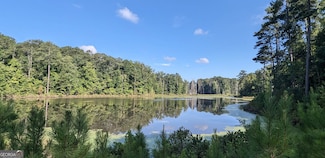LOT 1 Joe Roberts Rd, Newnan, GA 30263