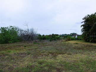 1321 SW 21st Ave, Cape Coral, FL 33991