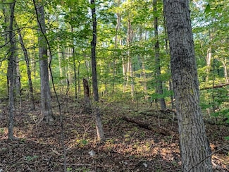 0 Old Church Rd Unit 2512424, Hanover, VA 23111