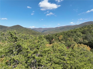 Tract3 Turniptown Rd, Ellijay, GA 30536