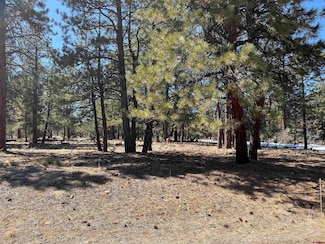 TBD Badger Trail S, Ridgway, CO 81432