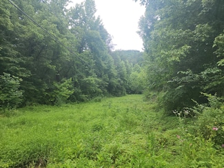 00 Rocky Flats Rd, Pittman Center, TN 37876
