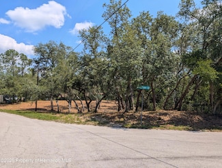 0 Merlin Cir Unit 2253706, Dade City, FL 33523