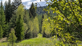 161 Bernard Creek Rd, Kila, MT 59920