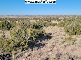 20 5068, Concho, AZ 85924