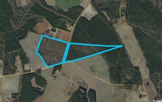 TBD11X Nichols Hwy, Nichols, SC 29581
