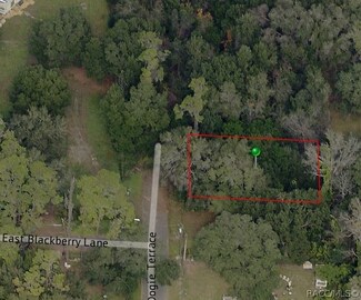 4565 N Dogie Terrace, Hernando, FL 34442