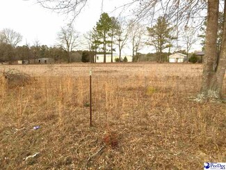 1150 Black Creek Church Rd, Mount Croghan, SC 29727
