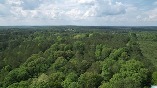 0 Armstrong Mountain Ln Unit 9.9acres, Talladega, AL 35160