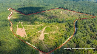 51 +/- acres Madwind Rd, Jackson's Gap, AL 36861