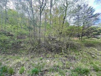 0 Wrenwood Dr, Tuscumbia, AL 35674