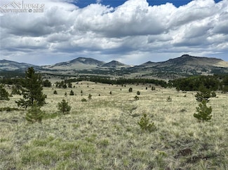 706 Bristlecone Rd, Guffey, CO 80820