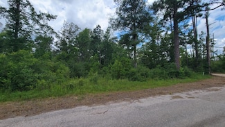 0 Tbd Atwood Daniels Rd Unit 26-4588, Ragley, LA 70634