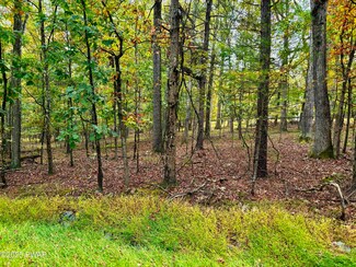 352 Timber Ridge Dr, Lackawaxen Township, PA 18428